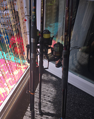 Daiwa team - team, nero-point