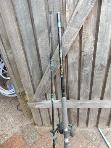 Angelrute blue marlin mit - angelrute,